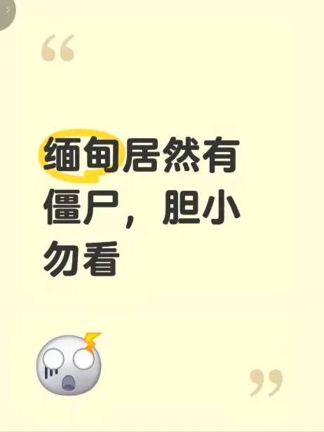 《缅甸僵尸出土事件》视频高清无删减在线观看 - 揭秘缅北僵尸出土现场全程录像 - 最新完整版免费播放资源