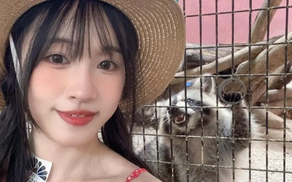 《苏畅》在线观看全集免费-高清无删减版苏畅完整版-vlog视频大全国产女神1080p