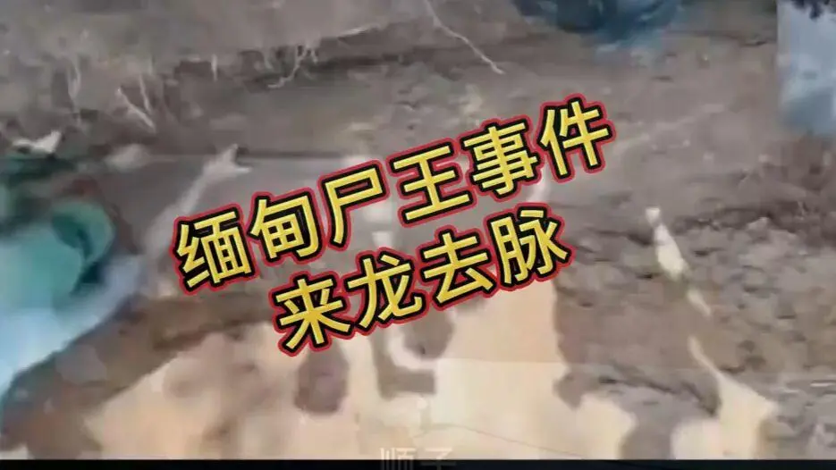 《缅甸僵尸出土事件视频》高清下载 - 缅北僵尸出土事件始末原视频资源在线观看 - 完整版无删减全程录像免费播放